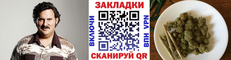 Купить закладку Alpha PVP  Меф  Амфетамин  Cocaine  Бошки Шишки  Павловск